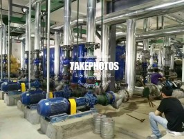 菠萝视频网站色情入口使用現場