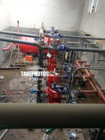 菠萝视频网站色情入口使用現場